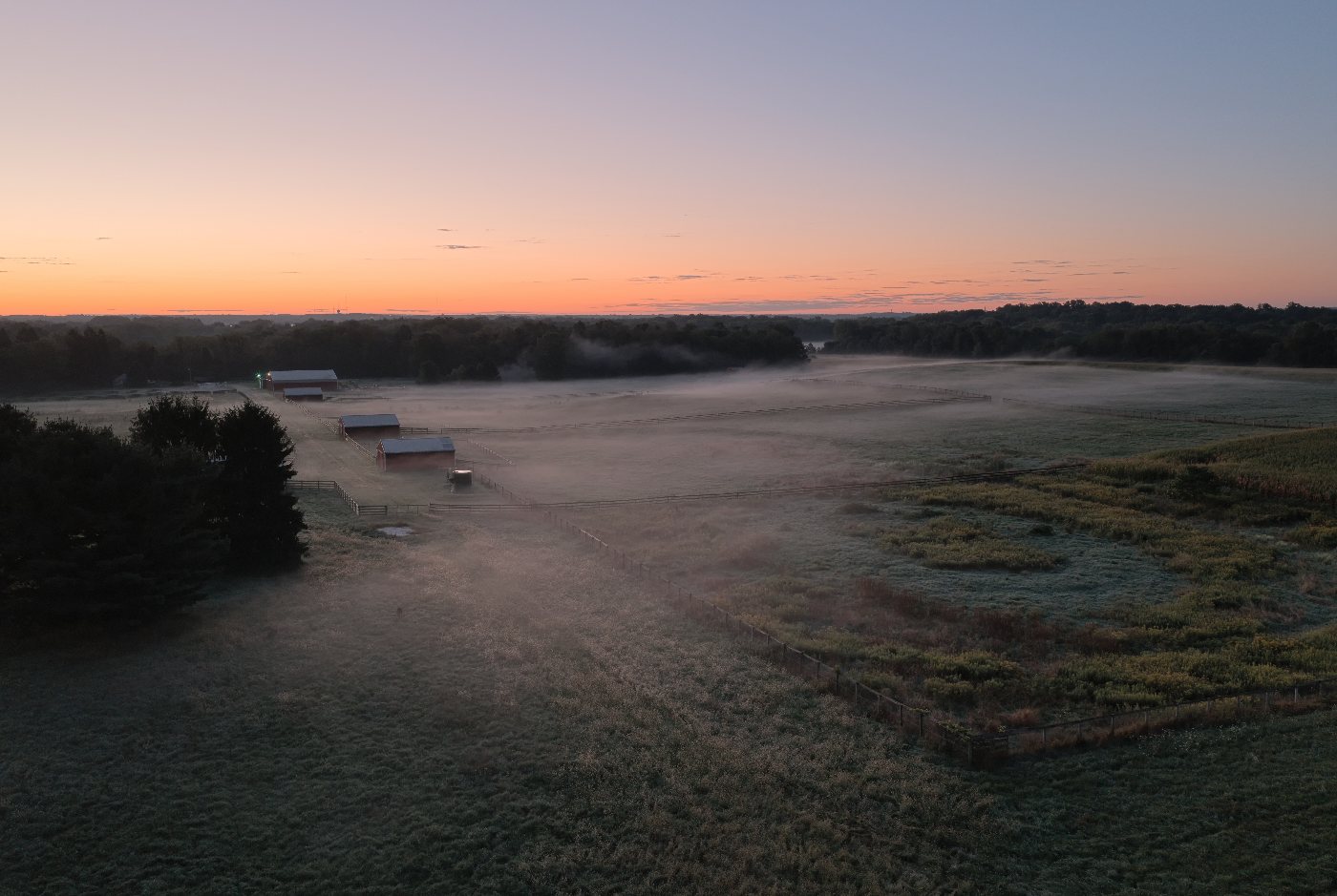Horse farm with red barns and fenced paddocks under morning fog at dawn