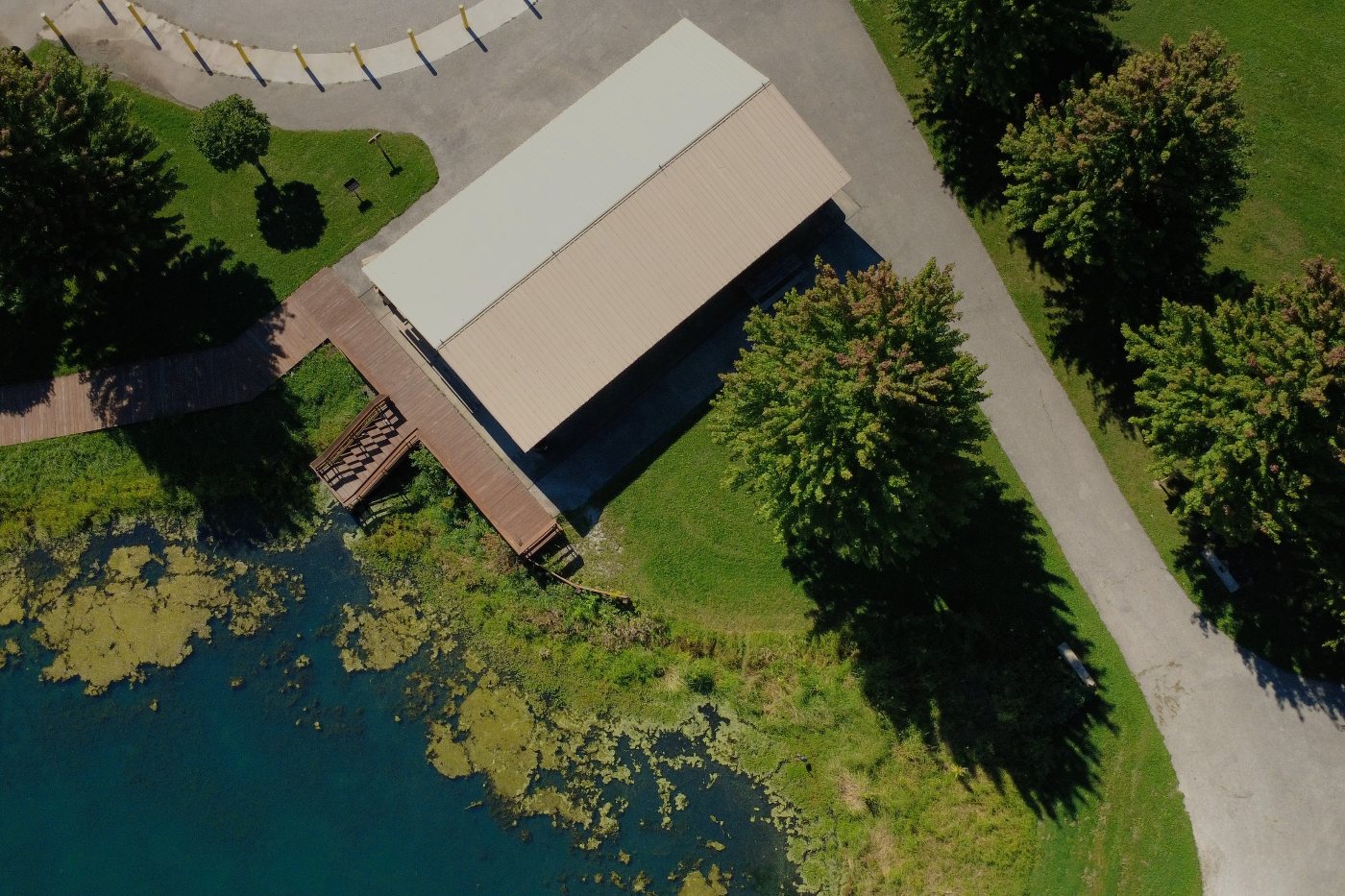 Aerial view of a park pavilion roof, boardwalk and stairs beside a pond edged with algae