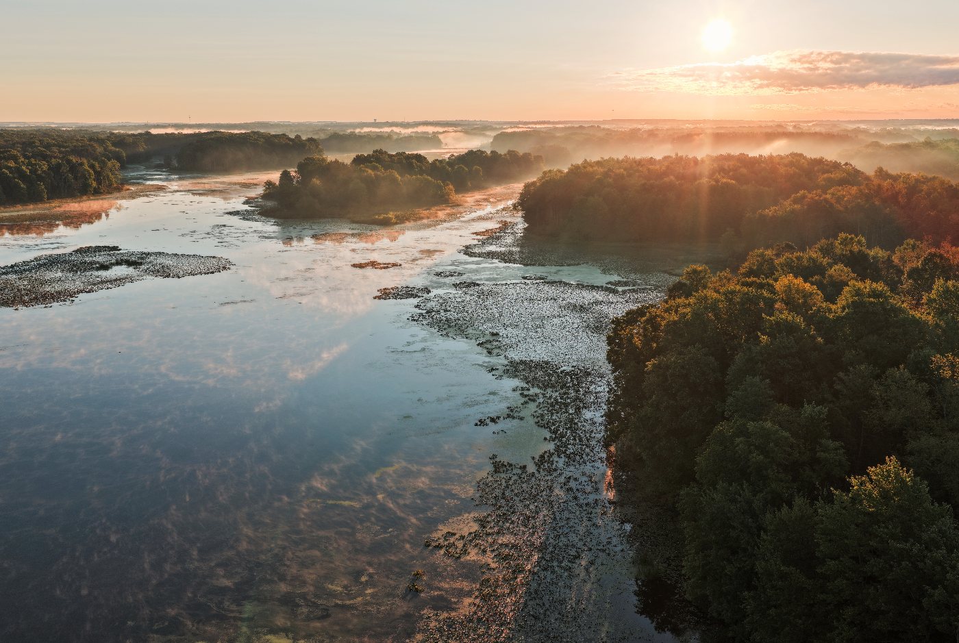 Sunrise over a misty marsh, with sun rays through fog and warm light on the treeline